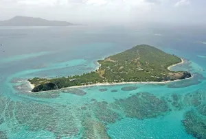 Petit ST. Vincent