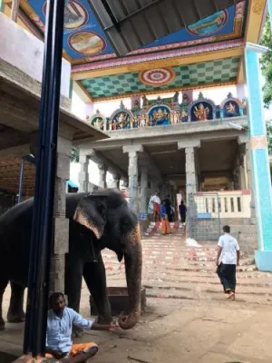 Chettinadu Mansion