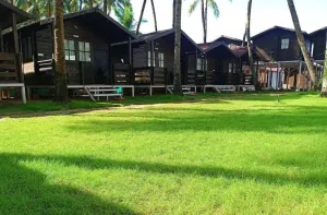 Agonda Paradise