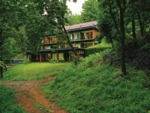 Rainforest Resort