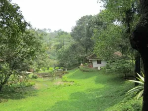 Greenberg Resort