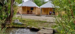 Royal Deluxe Camp