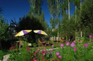 Hotel Snow Lion Ladakh