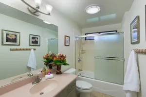 Hale Poola