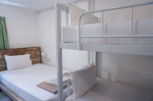 Frog House Bed & Breakfast Adults Only