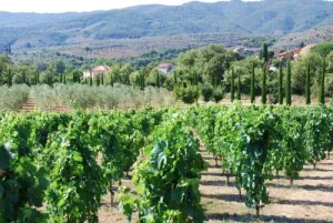 Casa Portagioia Tuscany Bed and Breakfast