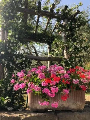 Agriturismo La Casella