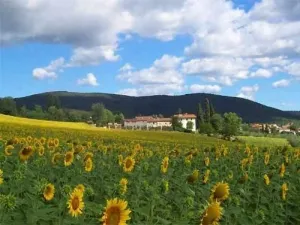 Ca Del Bocca