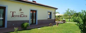 Agriturismo Terra di Elea