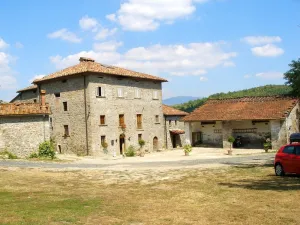 Apartment With in Caprese Michelangelo With Pool Access F