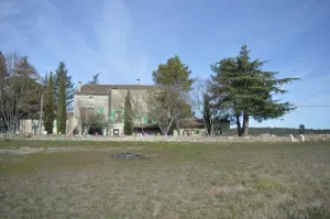 Les loups dans la bergerie
