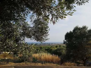 Valle Degli Ulivi