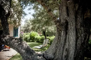 Residence Oliveto a Mare
