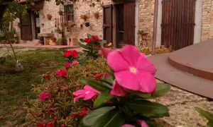 Bed & Breakfast Podere Montagione