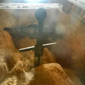 La Fattoria Montalcinello