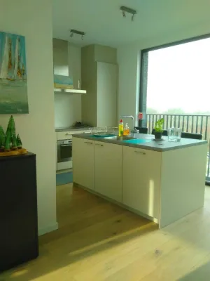 Fully Equipped Sunny Apartment