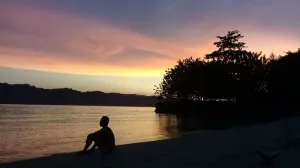 Holiday Bir