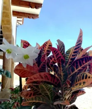 Hotel Gran Sirius
