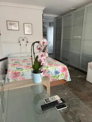 Lovely studio Cartago