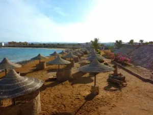 Coral Garden