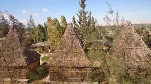 Badry Sahara Camp