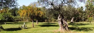 B&B Villa Grazia
