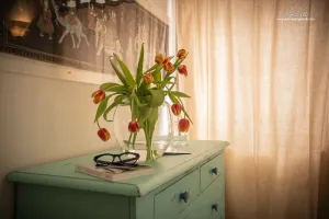 Podere La Villa Locanda con Cucina