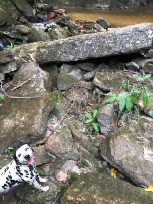 Pousada Jardim da Chapada