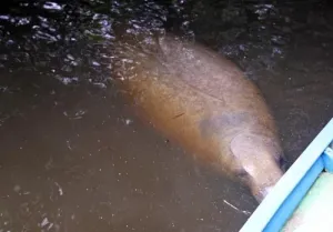 Pousada Chalés dos Encantos
