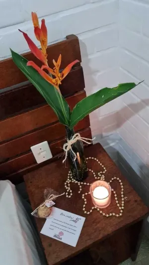 Pousada Vila Anaua