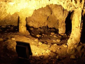 House Osana