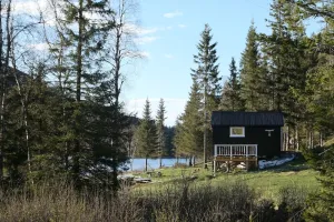 Velfjord Camping & Hytter