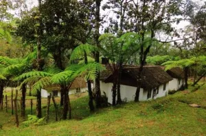 Hotel Posada Montaña del Quetzal