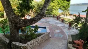 Zapote Tree Inn