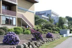 Hotel Hammersø