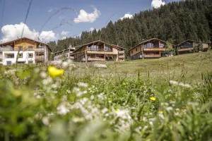 Priva Alpine Logde Lenzerheide