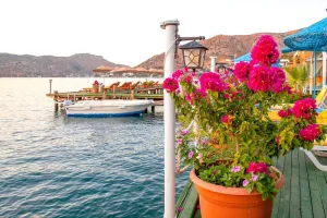Aphrodite Otel