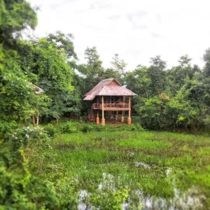 Kingfisher Ecolodge