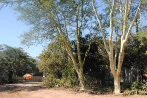 Matumi Game Lodge