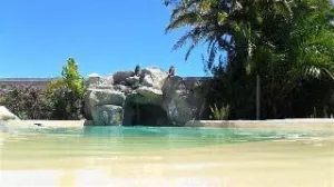 Afro Chic Guest House