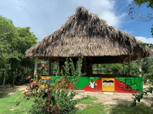 PALMENTO GROVE GARIFUNA ECOCULTURAL & FISHING INSTITUTE