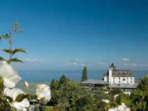 WALZENHAUSEN SWISS QUALITY