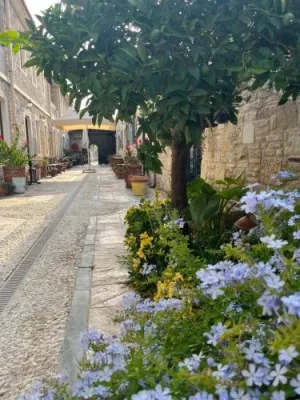 Griffon Boutique Hotel - Boutique Class