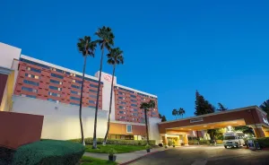 Hilton Concord