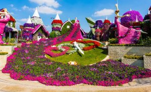 Miracle Garden Ticket in Dubai