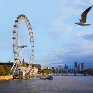 London Eye Ticket