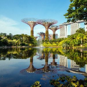 Gardens by the Bay Ticket in Singapore