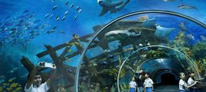 S.E.A. Aquarium Ticket Sentosa, Singapore