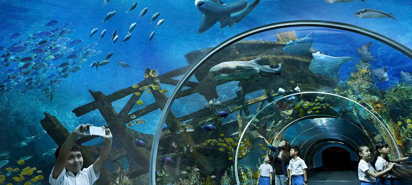 S.E.A. Aquarium Ticket Sentosa, Singapore 3