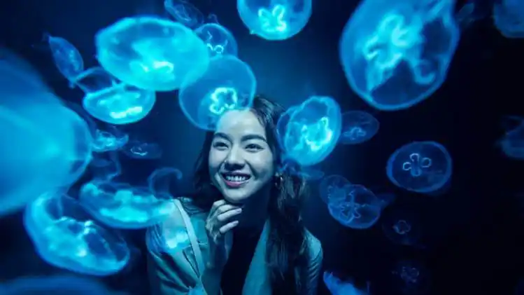 S.E.A. Aquarium Ticket Sentosa, Singapore 5